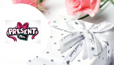 Testez gratuitement le Present Pets