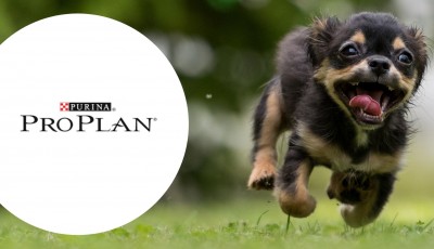 Testez gratuitement Mobility Pro Nuggets pour chien ProPlan
