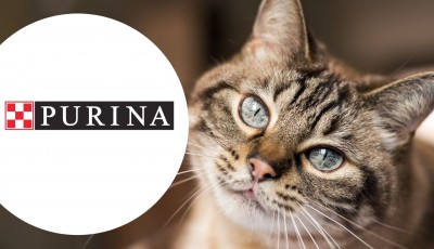 Testez gratuitement la gamme pour chats Gourmet Purina One