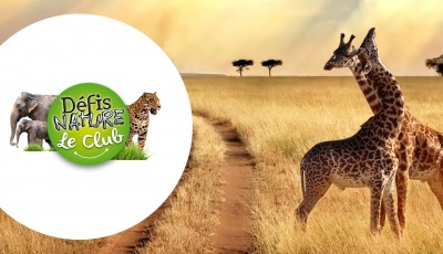 Recevez gratuitement le magazine Défis Nature