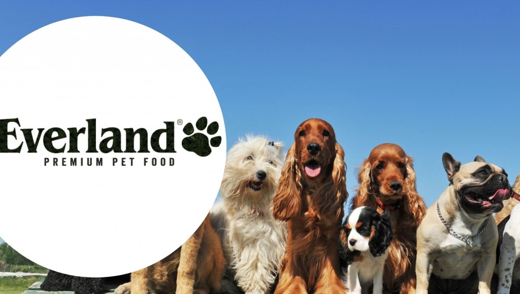 Testez gratuitement les croquettes M&L ADULT au saumon pour chiens