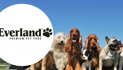 Testez gratuitement les croquettes M&L ADULT au saumon pour chiens