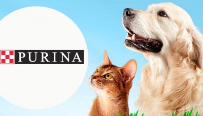 Testez gratuitement les croquettes Purina Beyond Sans Céréales