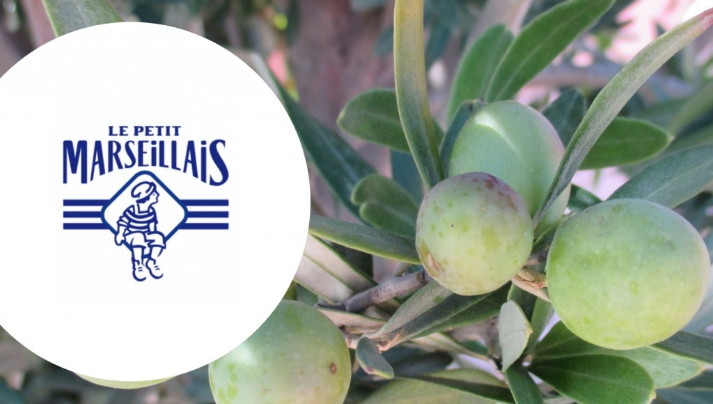 Testez gratuitement la gamme bio le Petit Marseillais aux notes Olive