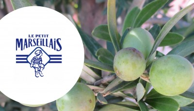 Testez gratuitement la gamme bio le Petit Marseillais aux notes Olive