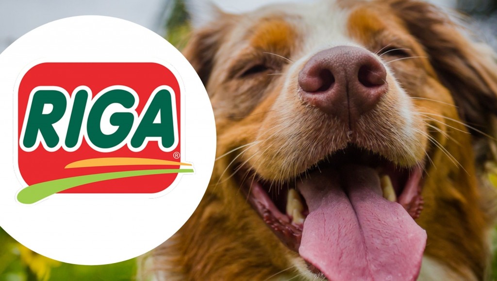 Testez gratuitement les Essential Bouchées Sanglier de Riga