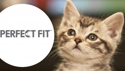 Testez gratuitement les sachets Perfect Fit Natural Vitality Adult pour chat