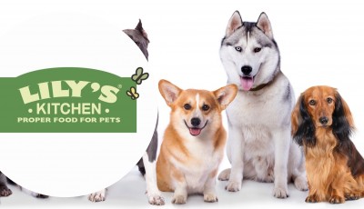 Testez gratuitement les croquettes au poulet et au canard de Lily\'s Kitchen