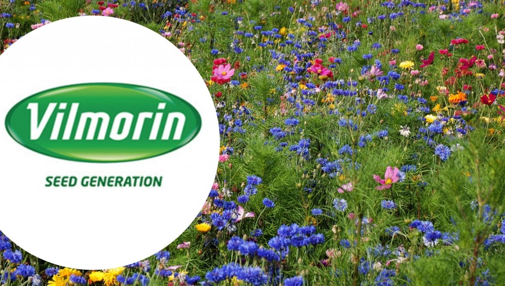 Testez gratuitement les fleurs comestibles de Vilmorin