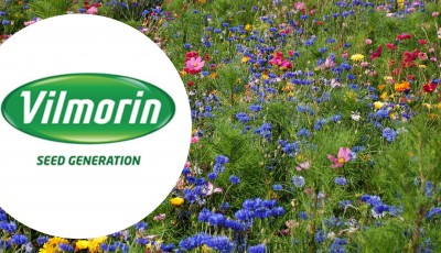 Testez gratuitement les fleurs comestibles de Vilmorin