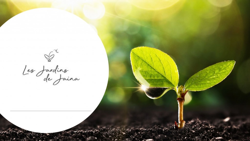 Testez gratuitement la routine beauté naturelle à base de plantes des Jardins de Jaina