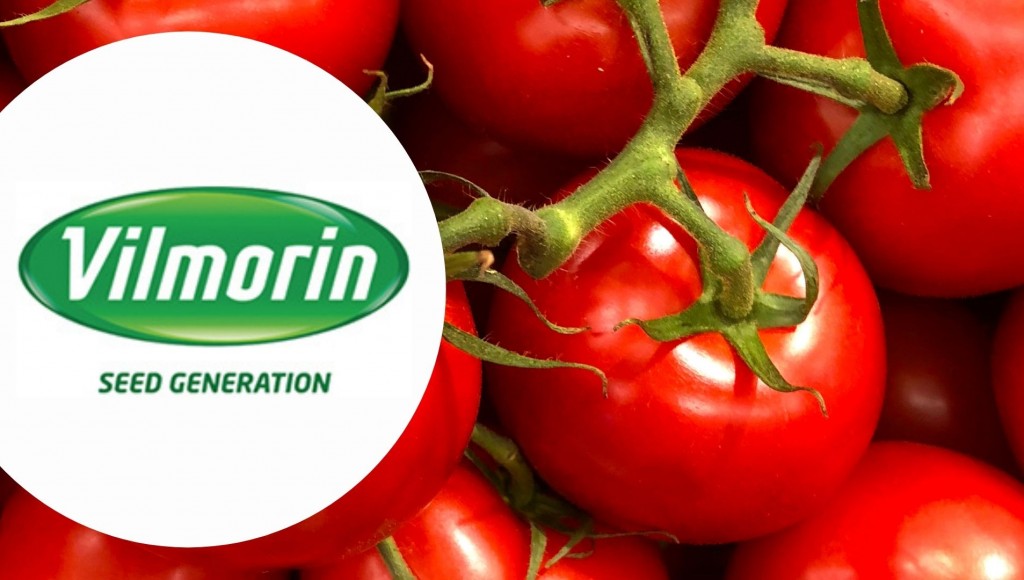 Testez gratuitement la housse de croissance pour tomates de Vilmorin