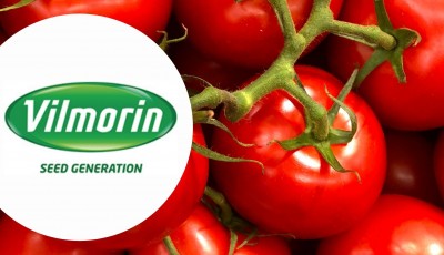 Testez gratuitement la housse de croissance pour tomates de Vilmorin