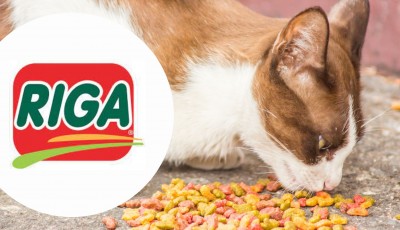 Testez gratuitement LICK QUID Snack pour chats de Riga