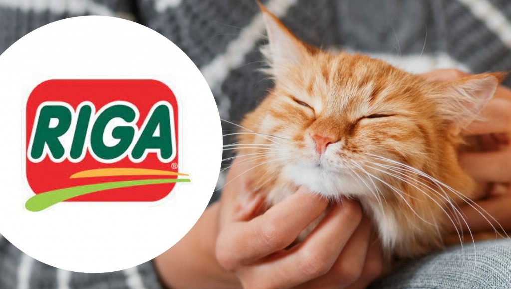 Testez gratuitement RIGALIT DEODO Thé vert pour les chats