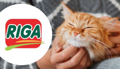 Testez gratuitement RIGALIT DEODO Thé vert pour les chats