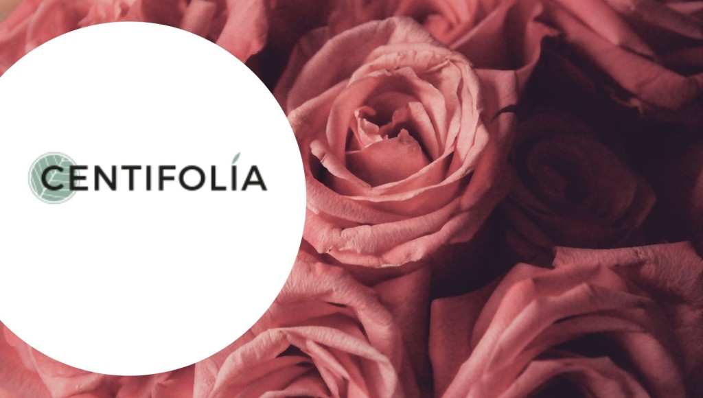 Testez gratuitement la crème riche Éclat de Rose de Centifolia