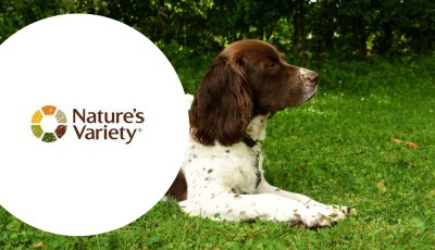 Testez gratuitement les croquettes pour chiens Nature’s Variety