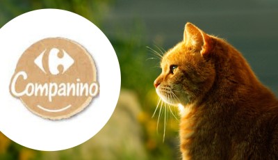 Testez gratuitement la gamme Carrefour Companino Naturally pour chats