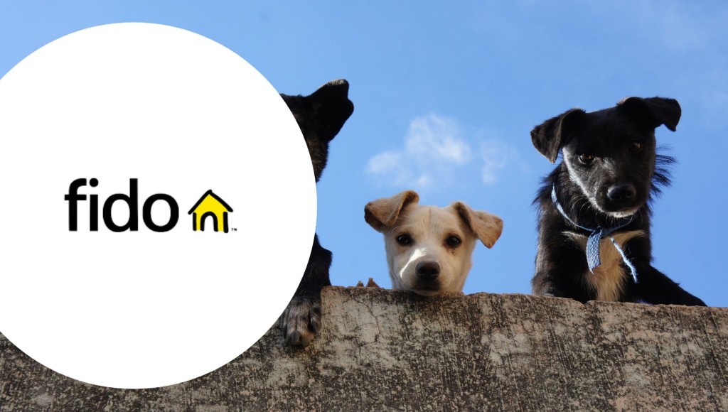 Testez gratuitement les sachets FIDO pour petits chiens