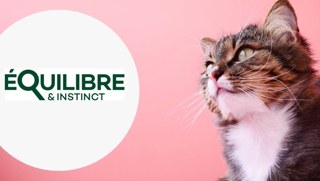 Testez grauitement les effilés au poulet, courges & agrumes pour chat de Equilibre & Instinct