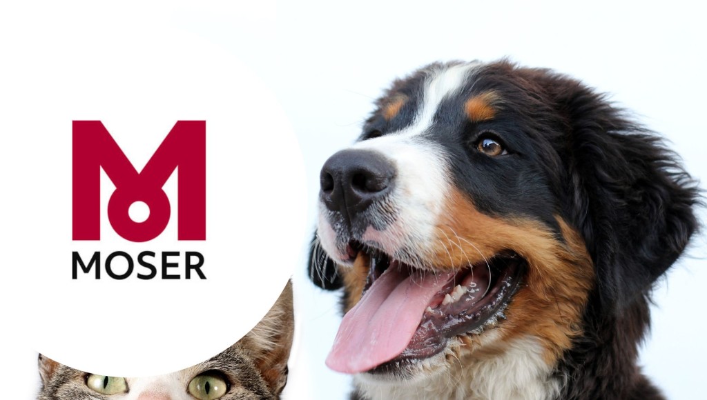 Testez gratuitement la tondeuse Moser pour animaux