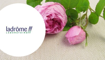 Testez gratuitement l\'eau florale de rose de Damas des laboratoires Ladrôme