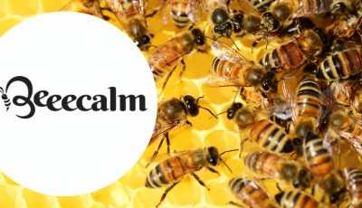 Testez gratuitement le soin WonderBeee de BeeeCalm