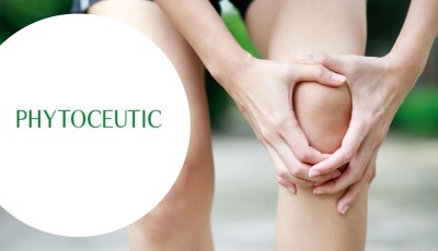 Testez gratuitement Bambouflex de Phytoceutic