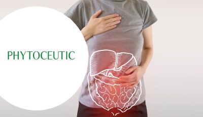 Testez gratuitement les compléments alimentaires Digestion de Phytoceutic