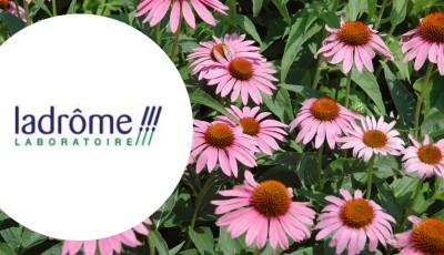 Testez gratuitement l\'extrait d\'échinacée bio des laboratoires Ladrôme