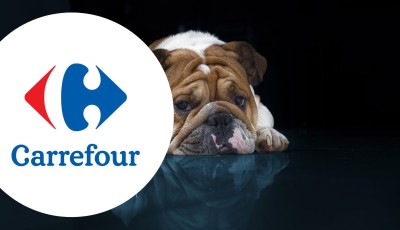 Testez gratuitement la gamme de croquettes Carrefour Companino Expert