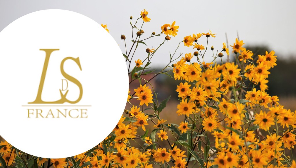 Testez gratuitement l\'huile végétale d\'Arnica de Lueur du Sud