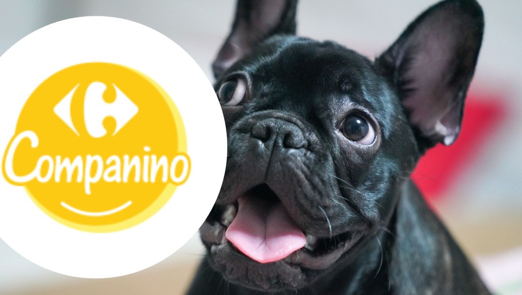 Testez gratuitement les croquettes pour chien de Companino