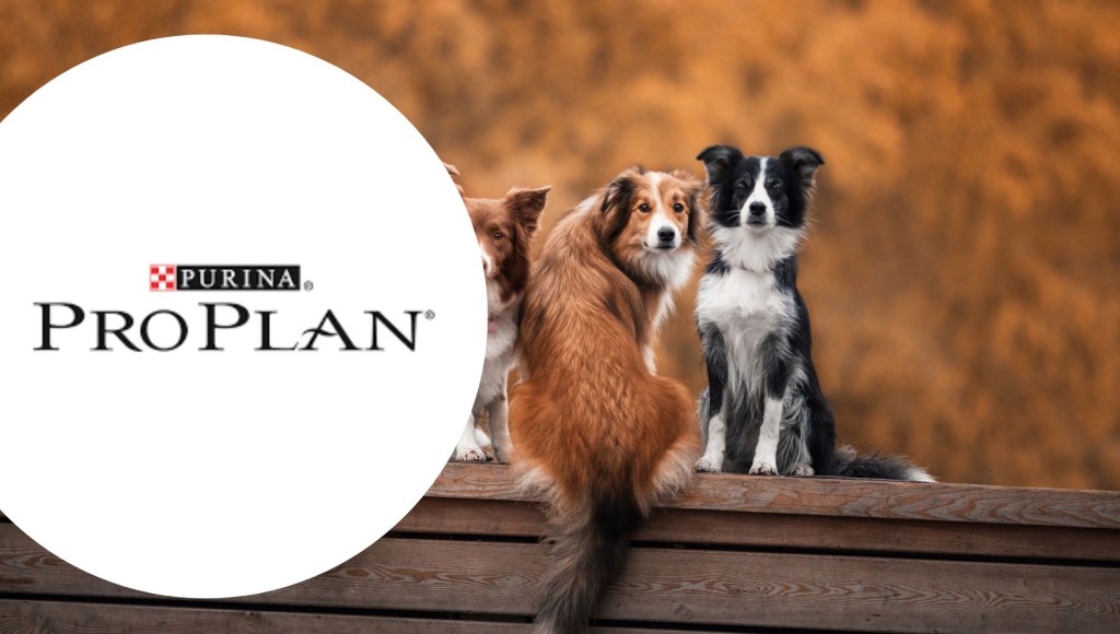 Testez gratuitement les croquettes Purina Pro Plan Meat Number 1