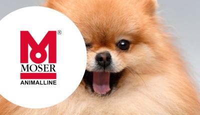 Testez gratuitement la brosse carde premium Moser Animal