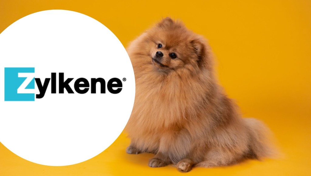 Testez gratuitement le complément alimentaire pour chiens de Zylkène