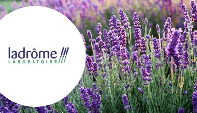 Testez gratuitement l\'huile essentielles de Lavande fine bio de Ladrôme Laboratoire