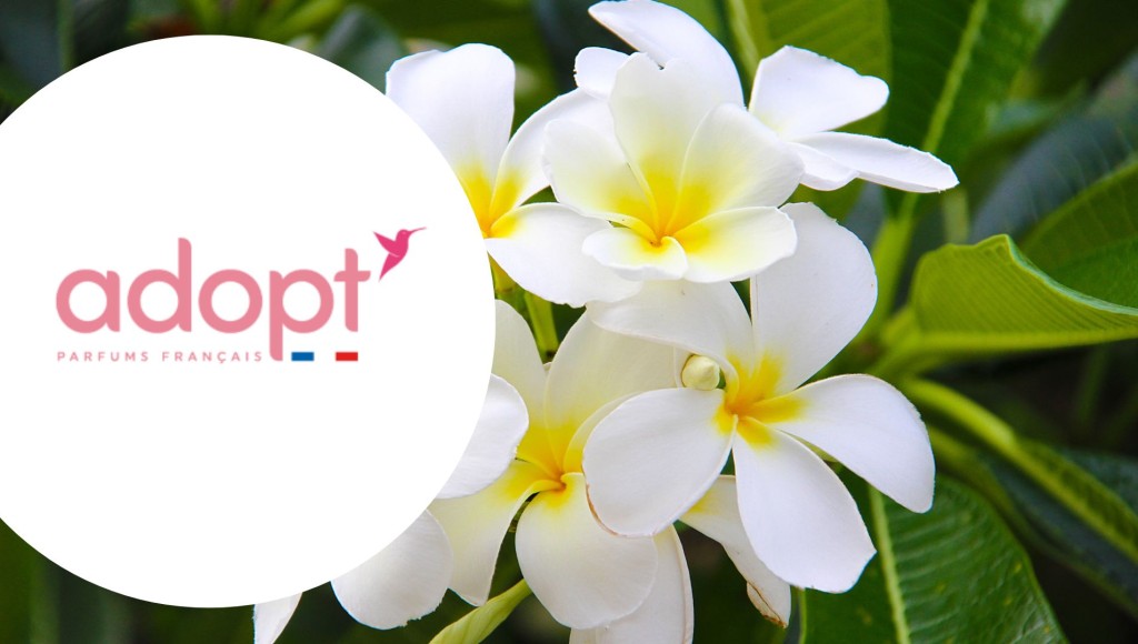 Testez gratuitement le Body Mist à la fleur de tiare d\'Adopt