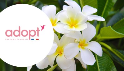 Testez gratuitement le Body Mist à la fleur de tiare d\'Adopt