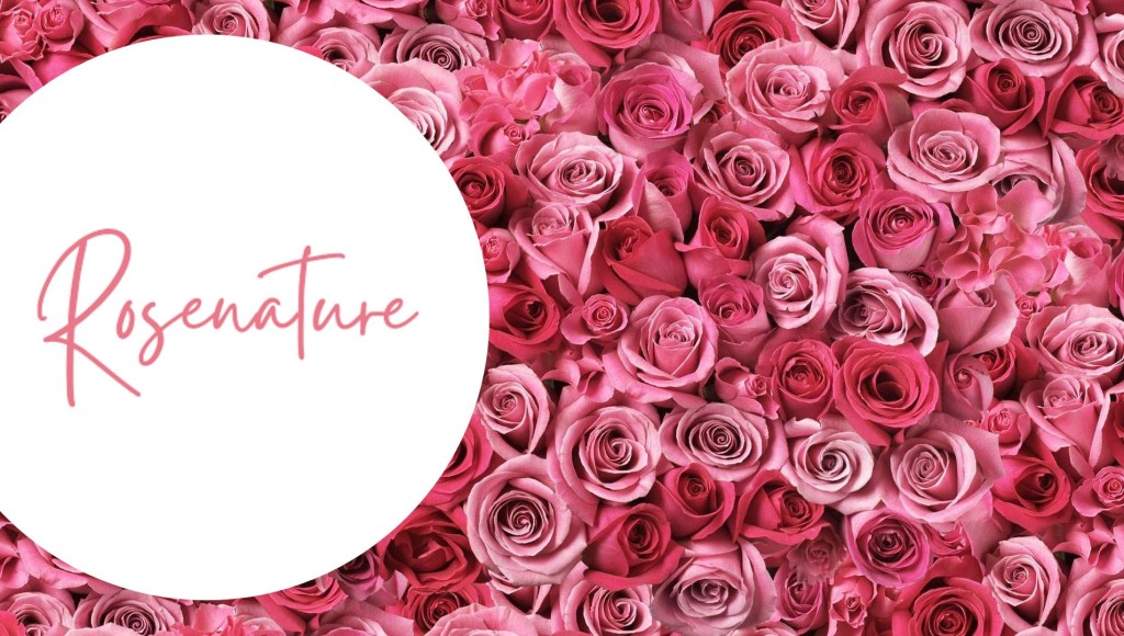 Testez la crème-Gel Éclat Suprême de Rose Nature