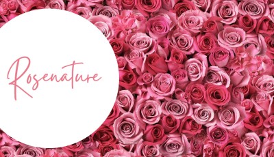 Testez la crème-Gel Éclat Suprême de Rose Nature