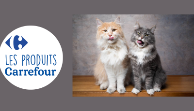 Recevez gratuitement les companino expert chat de Carrefour