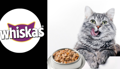Testez gratuitement le sachet Whiskas GRATUIT (85g)