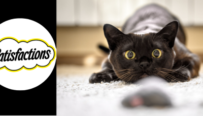 Testez gratuitement des échantillons croquette chien et chat