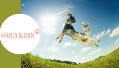 Testez gratuitement les lots de produits pour chiens et chats