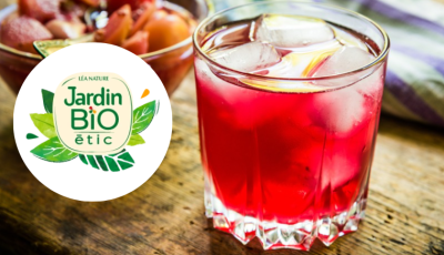 Testez gratuitement les infusions rooibos fruits rouge cacao Jardin BIO étic