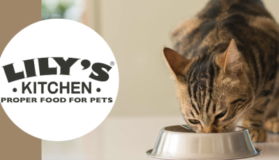 Testez gratuitement le paquet de croquettes pour chat chicken casserole de Lily\'s Kitchen