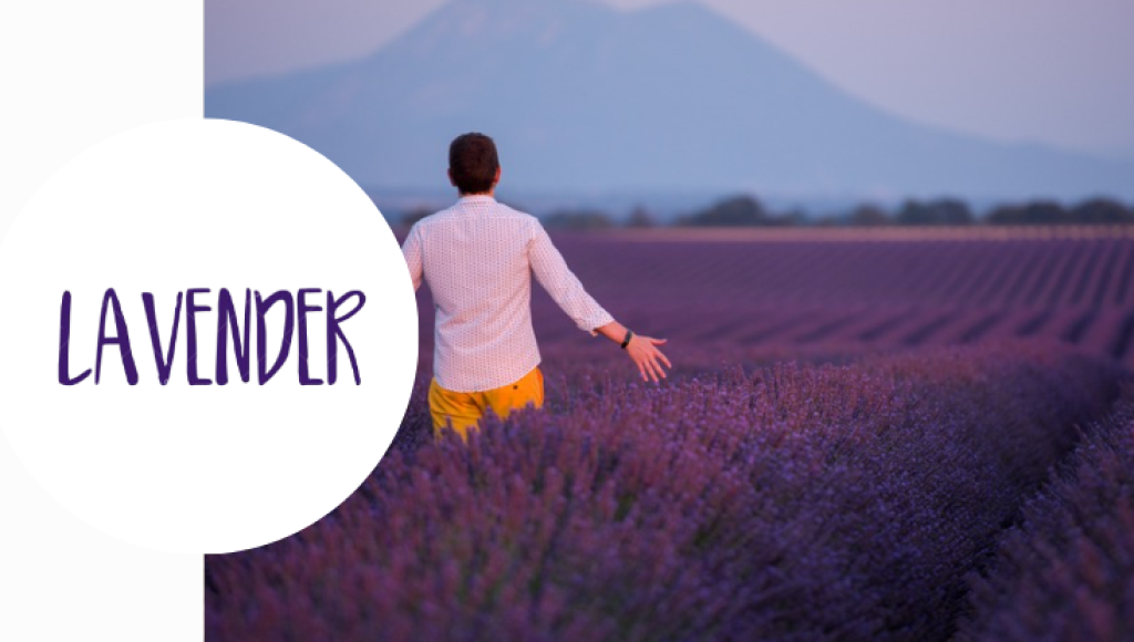 Testez gratuitement l\'eau de toilette Lavender for men