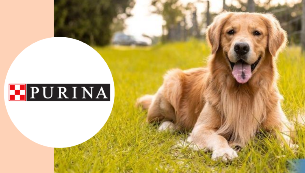 Testez gratuitement l’aliment complémentaire pro plan mobility+ de Purina